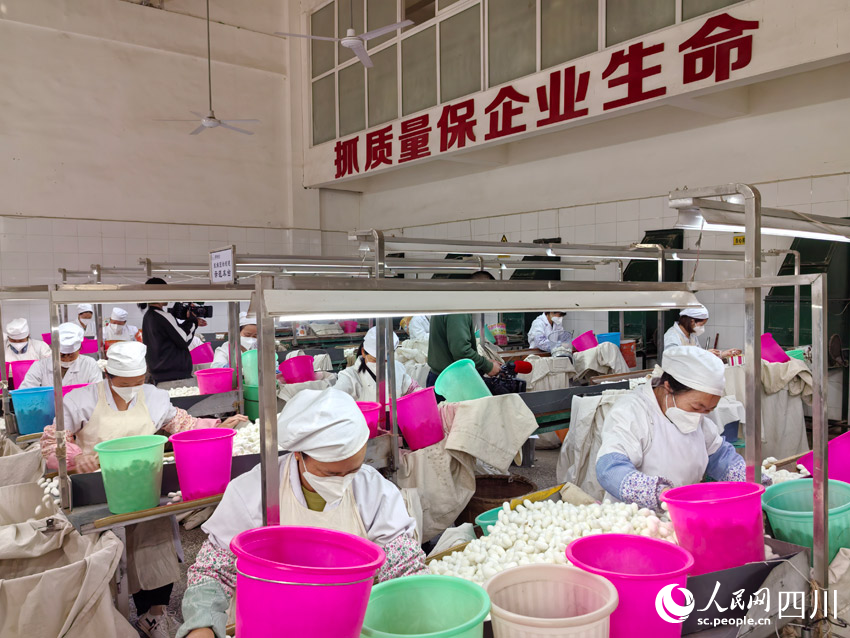 南丝路”：盯住小桑叶发展大思路CQ9电子专用平台南丝路上“(图2)