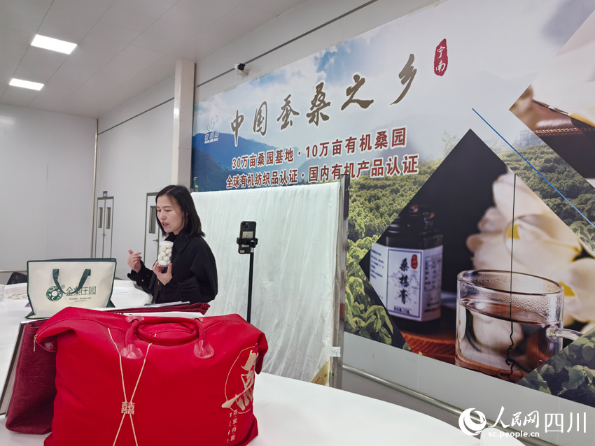 南丝路”：盯住小桑叶发展大思路CQ9电子专用平台南丝路上“(图6)