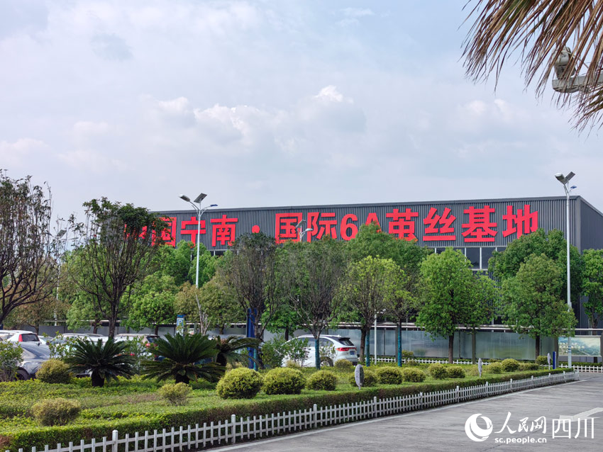 南丝路”：盯住小桑叶发展大思路CQ9电子专用平台南丝路上“(图7)